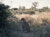 Namibia Picture