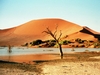 Namibia Picture