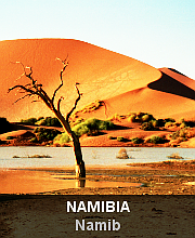 Highlights - Namibia - Namib