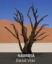 Highlights - Namibia - Dead Vlei