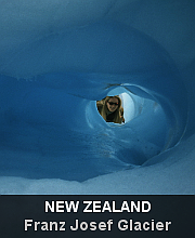 Highlights - New Zealand - Franz Josef Glacier