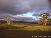 Australia - New South Wales - Picture