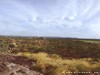 Australia - Northern Territory - Picture