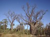 Australia - Northern Territory - Picture