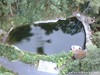 Australia- Queensland - Picture