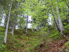 Austria Karwendel & Gleirschklamm Picture