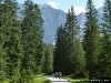 Austria Mieminger Gebirge Picture