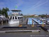 Austria Neusiedl Picture