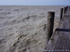 Austria Neusiedl Picture