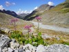 Austria Silvretta Picture