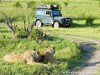 Botswana Okavango Picture