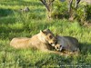 Botswana Okavango Picture