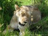 Botswana Okavango Picture