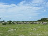 Botswana Okavango Picture