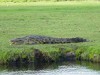 Botswana Okavango Picture