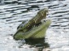 Botswana Okavango Picture