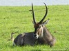 Botswana Okavango Picture