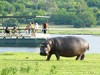 Botswana Okavango Picture