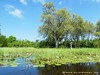 Botswana Okavango Picture