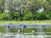 Botswana Okavango Picture