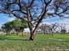 Botswana Okavango Picture