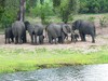 Botswana Okavango Picture