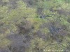 Botswana Okavango Picture