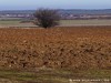 Bulgaria Country Picture