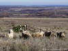 Bulgaria Country Picture
