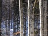 Bulgaria Country Picture