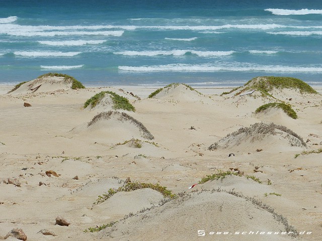 Cape Verde Picture