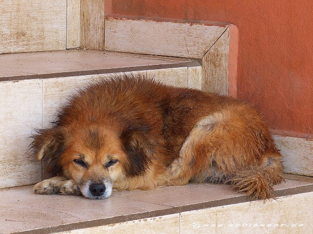 Cape Verde Picture