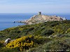 Corsica Cargese Picture