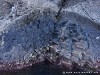 Corsica Scandola Picture