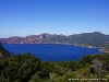 Corsica Senino Picture