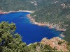 Corsica Senino Picture