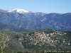 Corsica Senino Picture