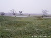 Croatia Jasenovac Picture