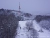 Croatia Petrova Picture
