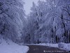Croatia Petrova Picture
