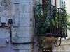Croatia Rovinj Picture
