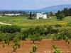 Cyprus Country Picture