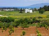 Cyprus Country Picture