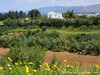 Cyprus Country Picture