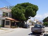 Cyprus Polis Picture