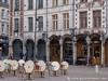 France Arras Picture