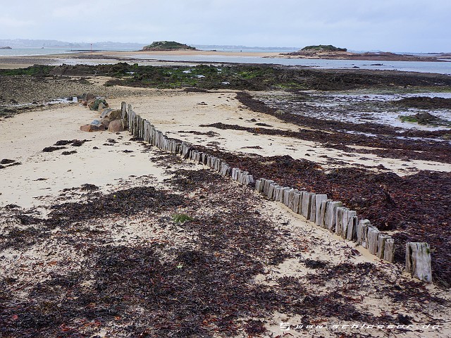 France Bretagne-2 Picture