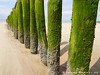 France Calais Picture