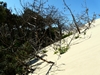 France Dune Du Pyla Picture