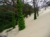 France Dune Du Pyla Picture